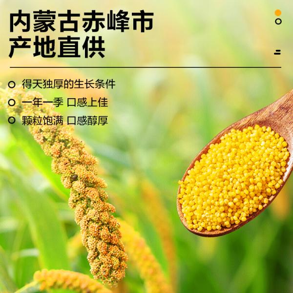 北纯敖汉有机黄小米2.5kg